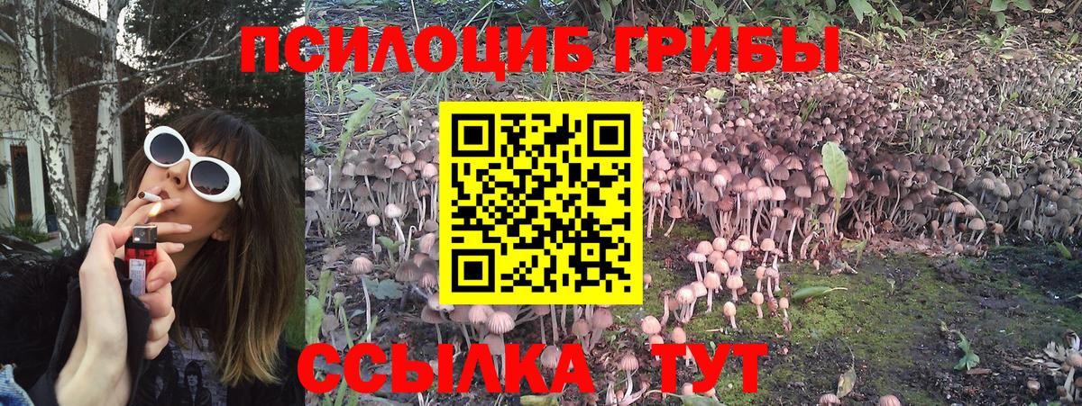 Галлюциногенные грибы Magic Shrooms Златоуст