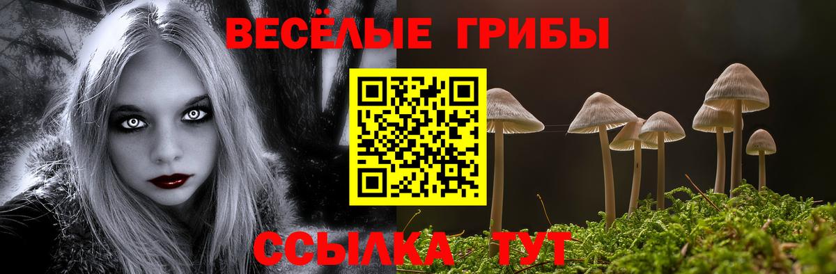 Псилоцибиновые грибы мицелий  Вход с VPN  Златоуст 